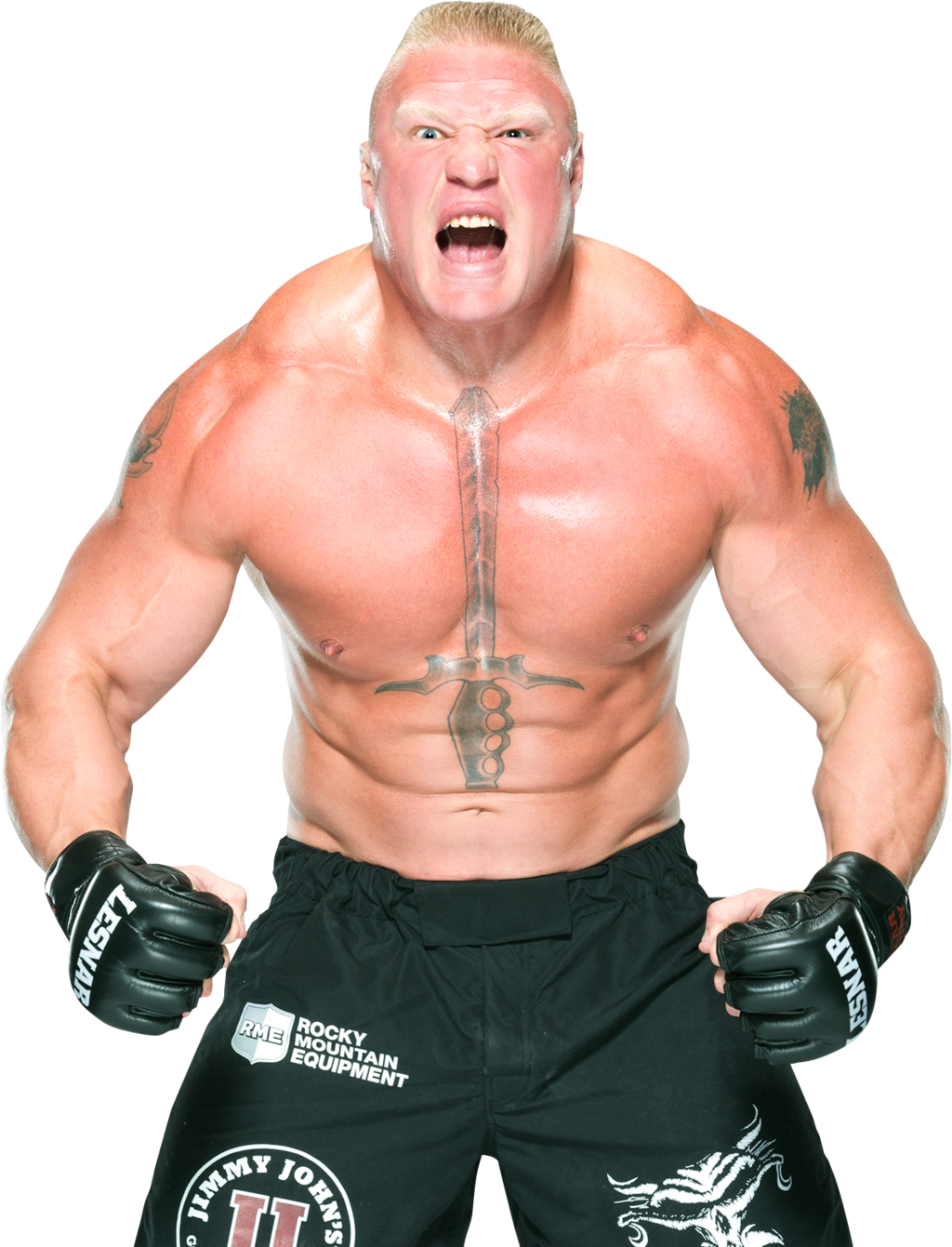 Brock Lesnar Png Pic Brock Lesnar Png