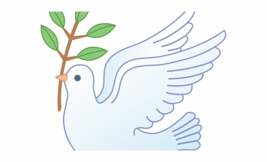 Picture Of Dove With Olive Branch Islamic And