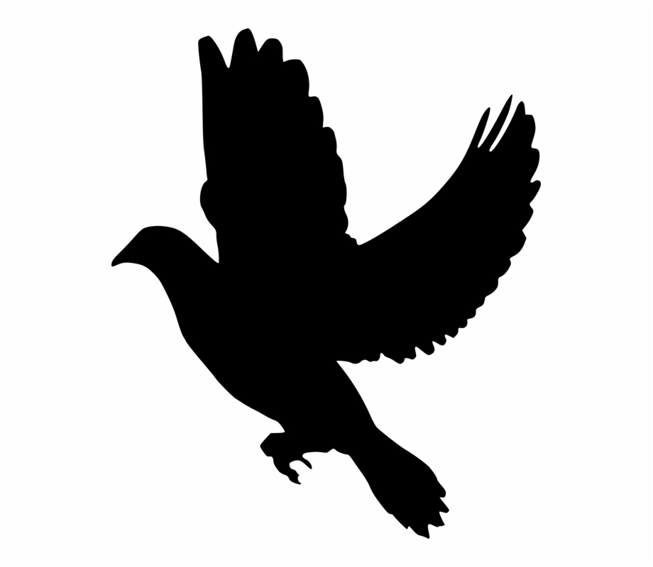 Silhouette Peace Dove Flying Olive Branch Symbol Dove