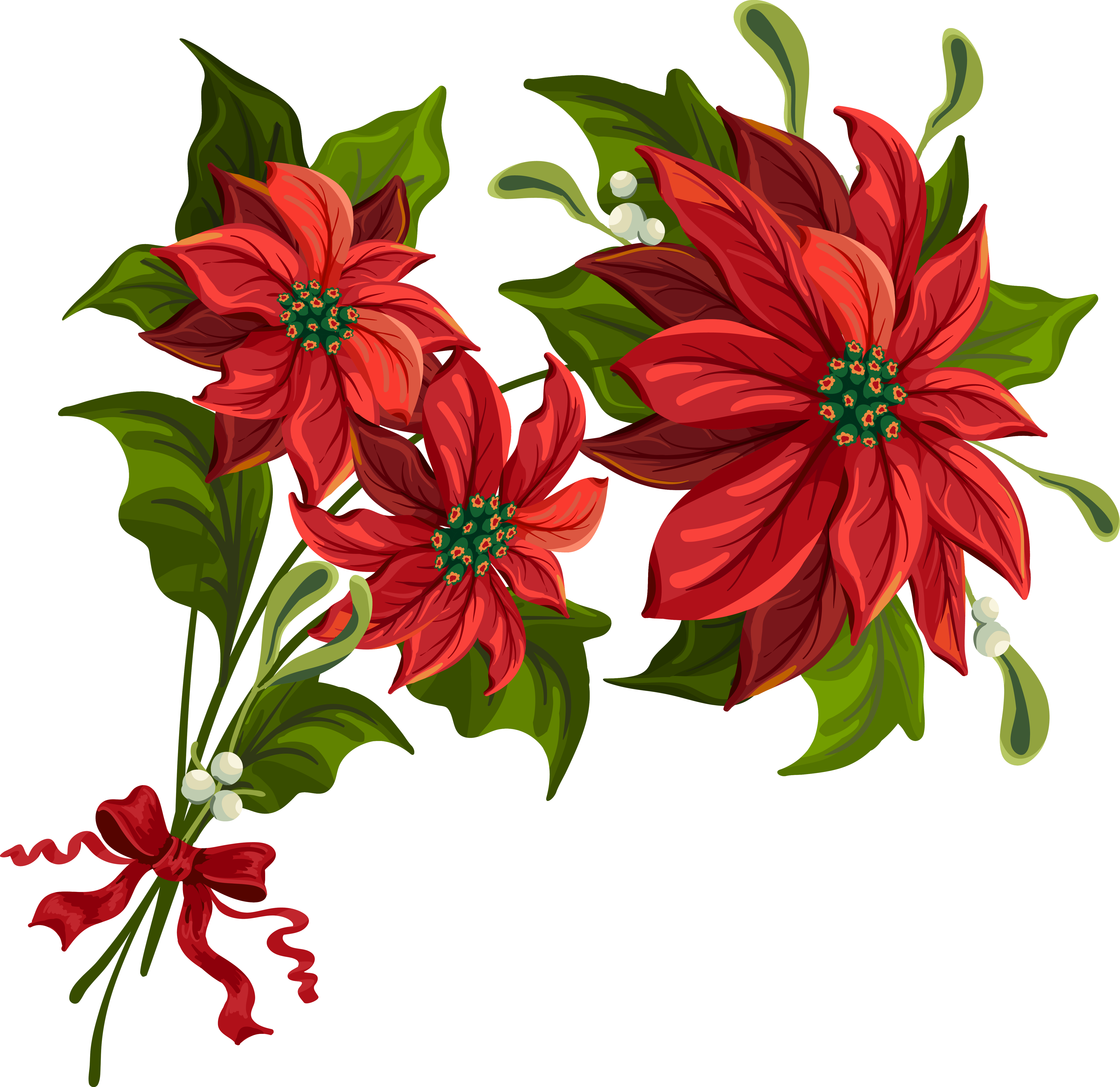 Transparent Christmas Png Poinsettia Clipart Flower Related To