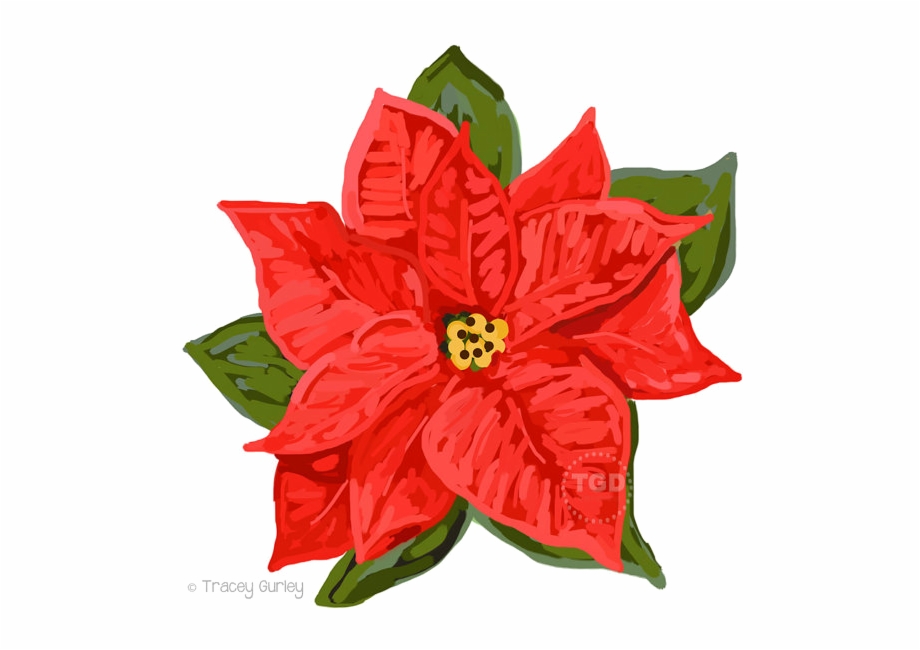 Poinsettia Png Download Image Holiday Clip Art Poinsettia