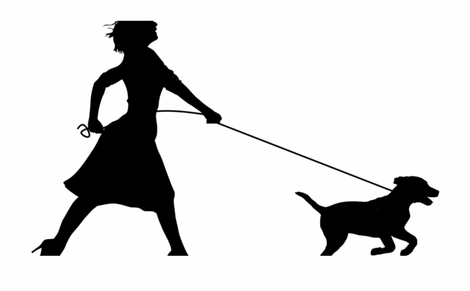 Woman Running With Dog Silhouette Stock Xchng