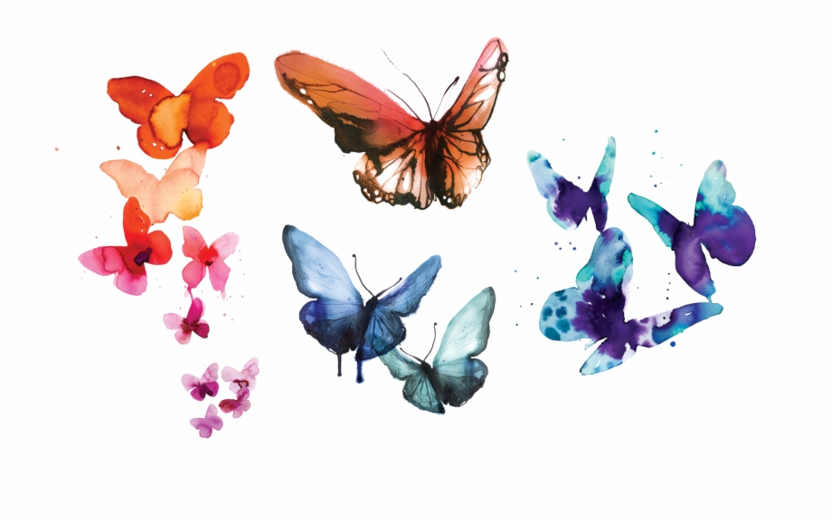 Watercolor Butterflies Set Stina Persson From Tattly Watercolor