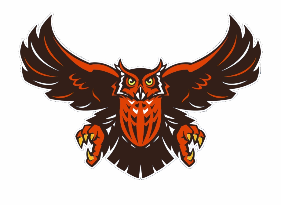 15 Owl Vector Png For Free Download On