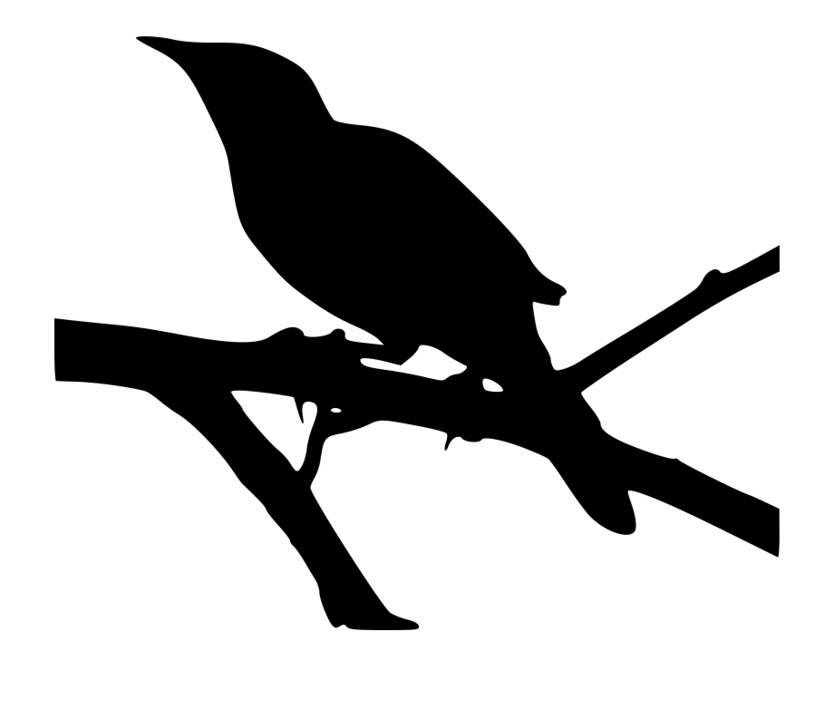 Mockingbird Silhouette