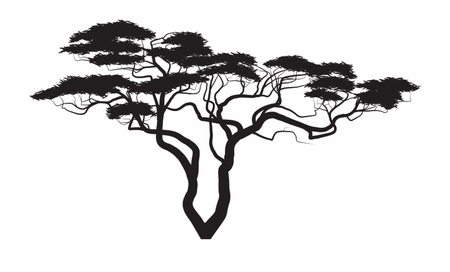 Exotic Tree Silhouette Png Clip Art Image African