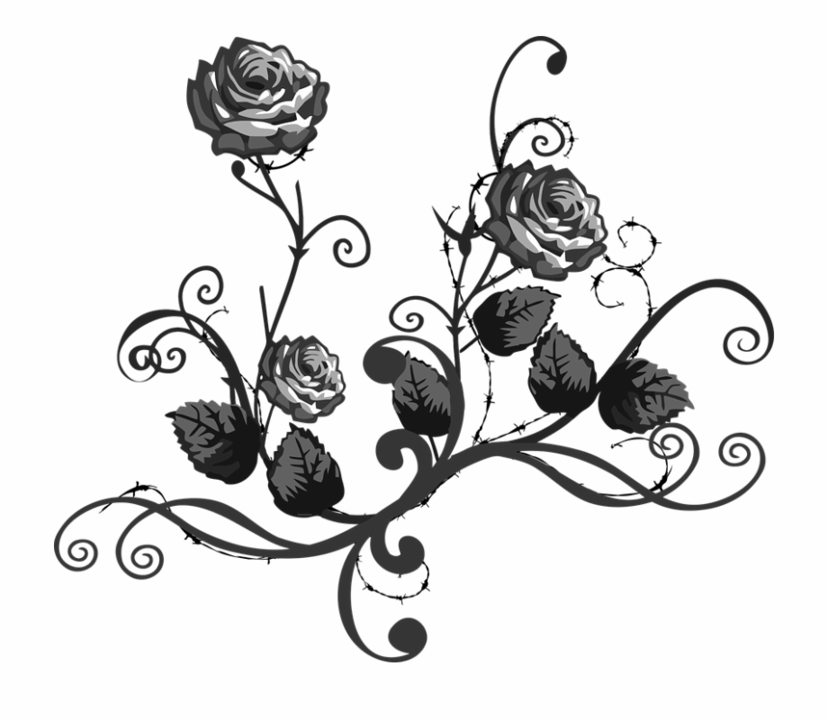 black and white rose png transparent png
