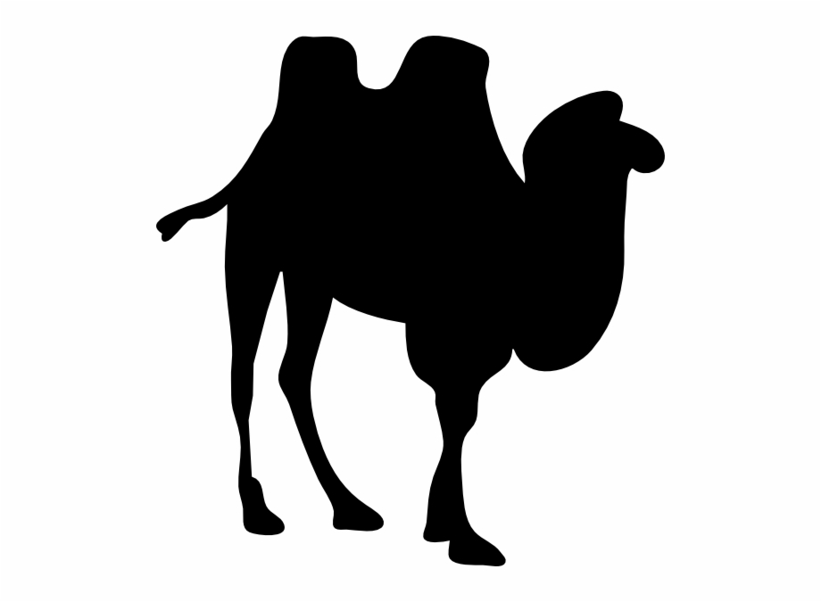 camel silhouette
