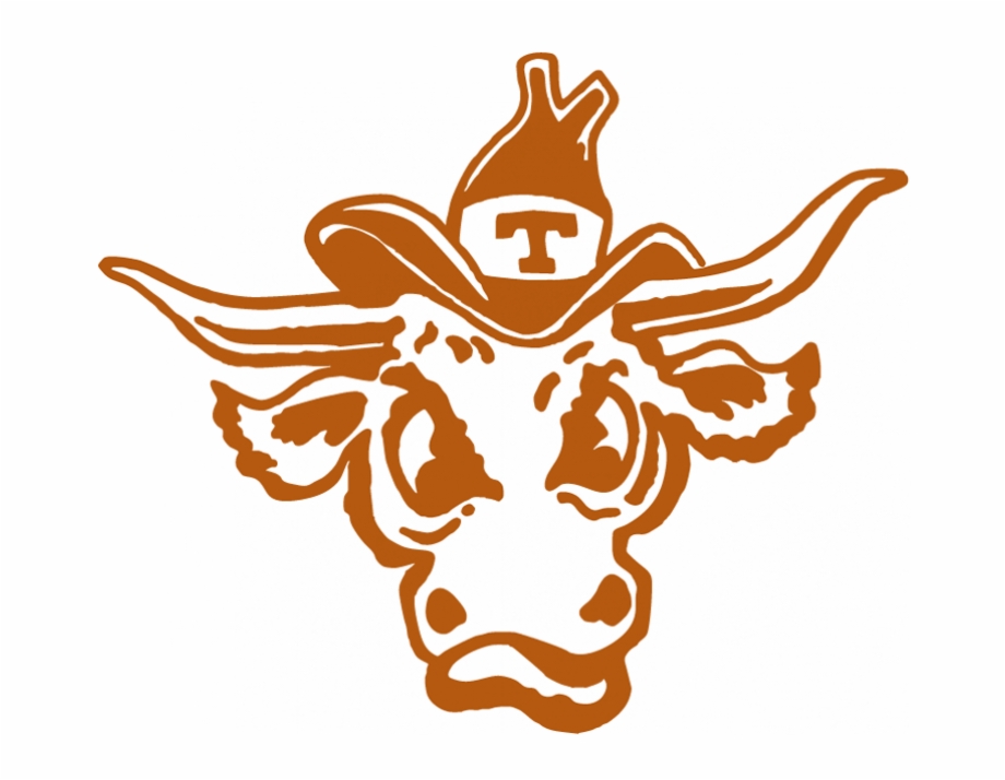 Texas Longhorns Iron On Stickers And Peel Off