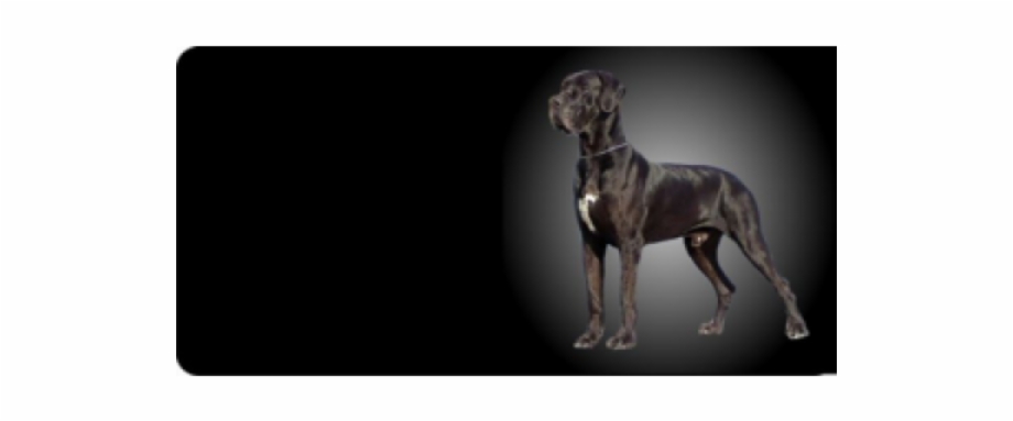 Great Dane Photo License Plate Free Personalization Great