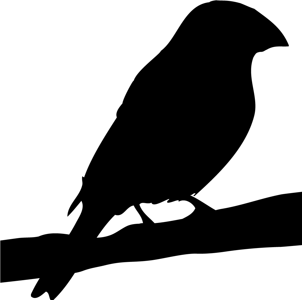 Finches Grosbeak Silhouette
