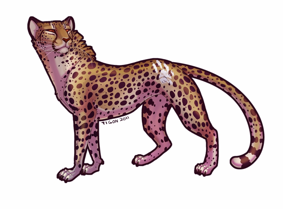 Cheetah Fan Art