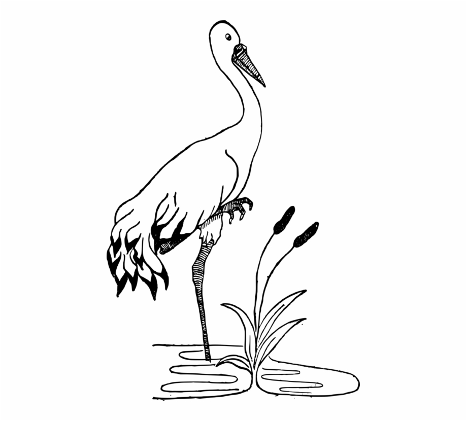 crane in pond drawing
