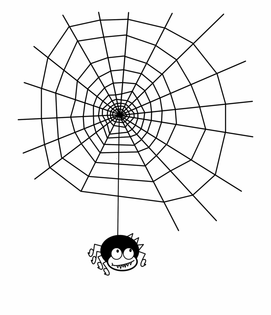 Vector Maths In Spider Webs