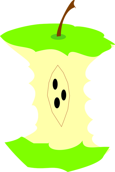 Green Apple Fall Fruit Bitten Core Eat Stem