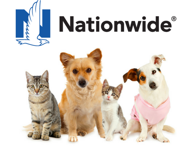 Nationwide Pet Insurance Review Free Dog And Cat
