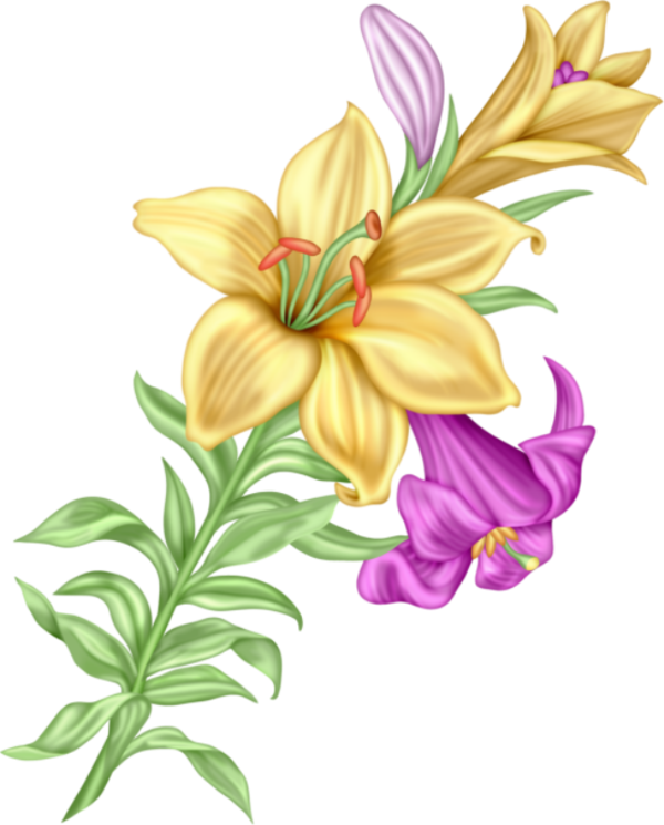 Gladiolus Flower Art Art Flowers Flower Power Hibiscus