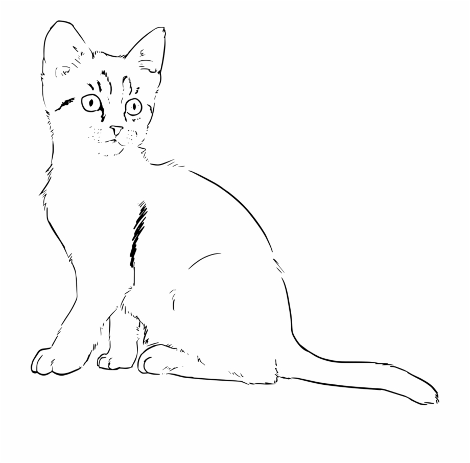 Kitten Cat Drawing Lineart Png Image Cat For