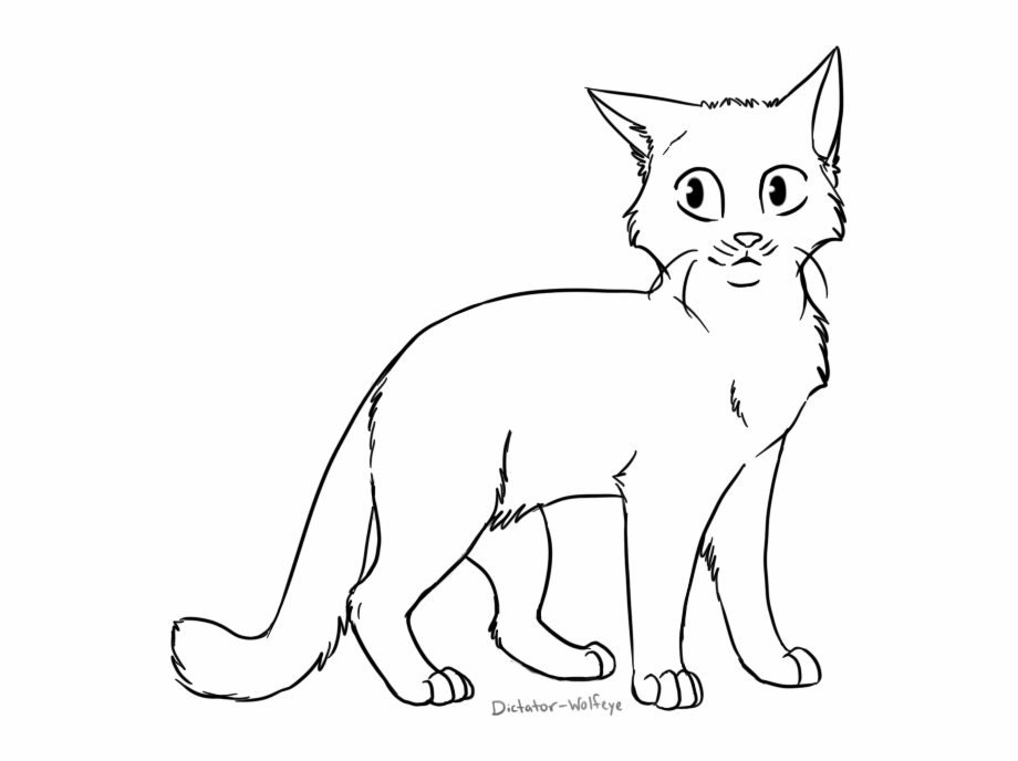 Cat Lineart By Wolfeye Cat Line Drawing Png