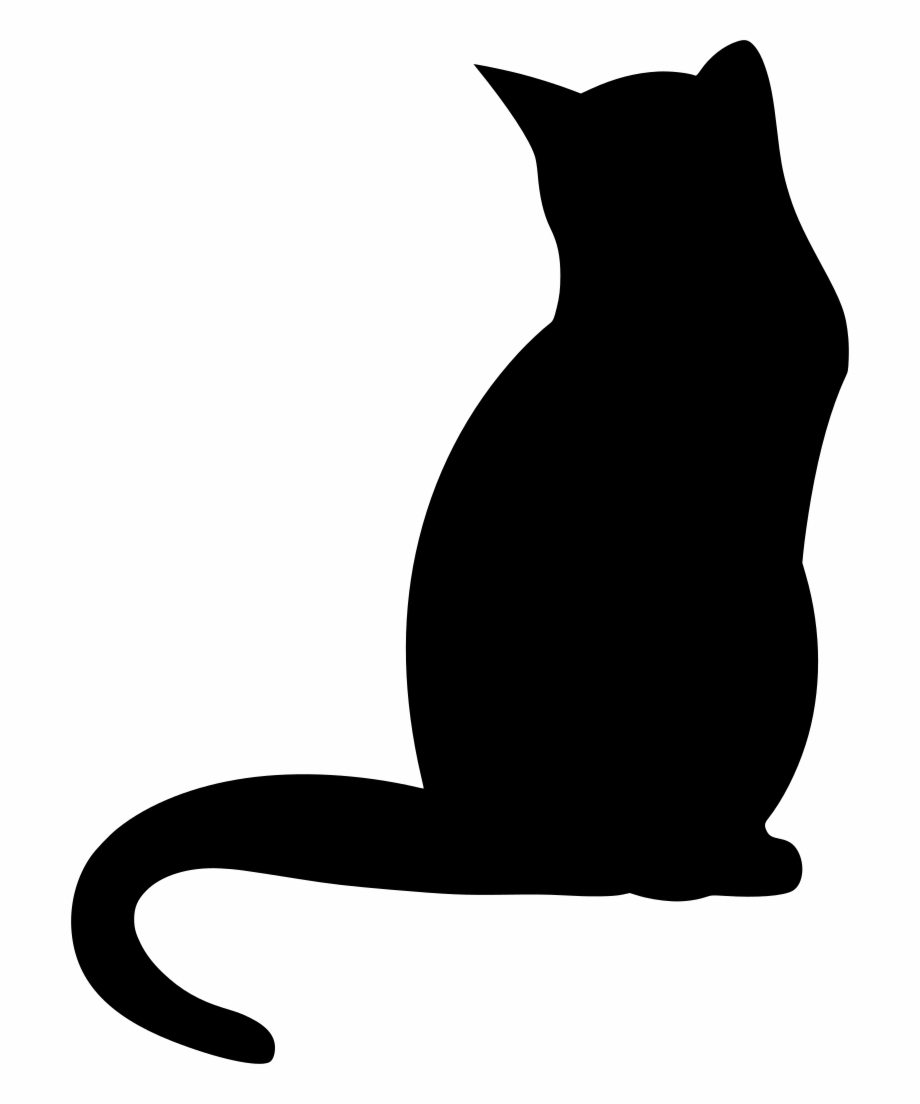 Download Png Cat Black Shadow