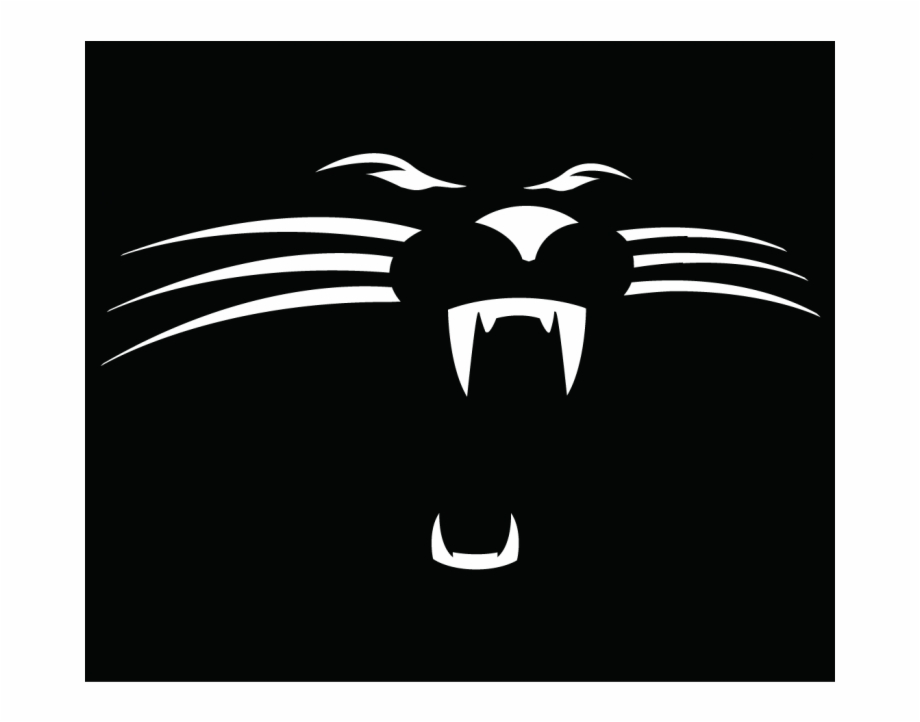 Carolina Panthers Iron On Stickers And Peel Off