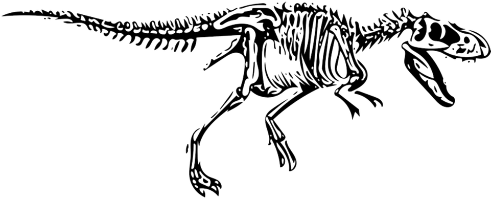 t rex fossil png
