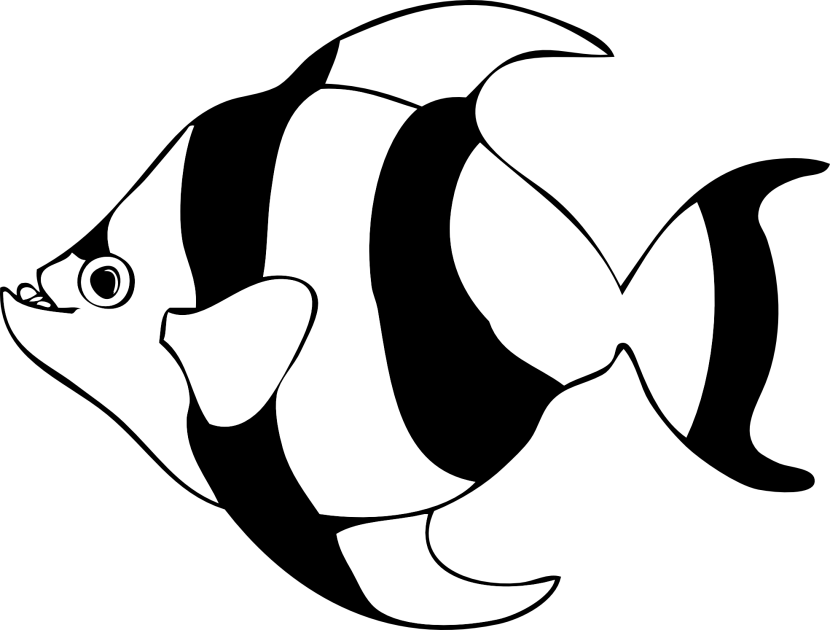fish clipart black and white

