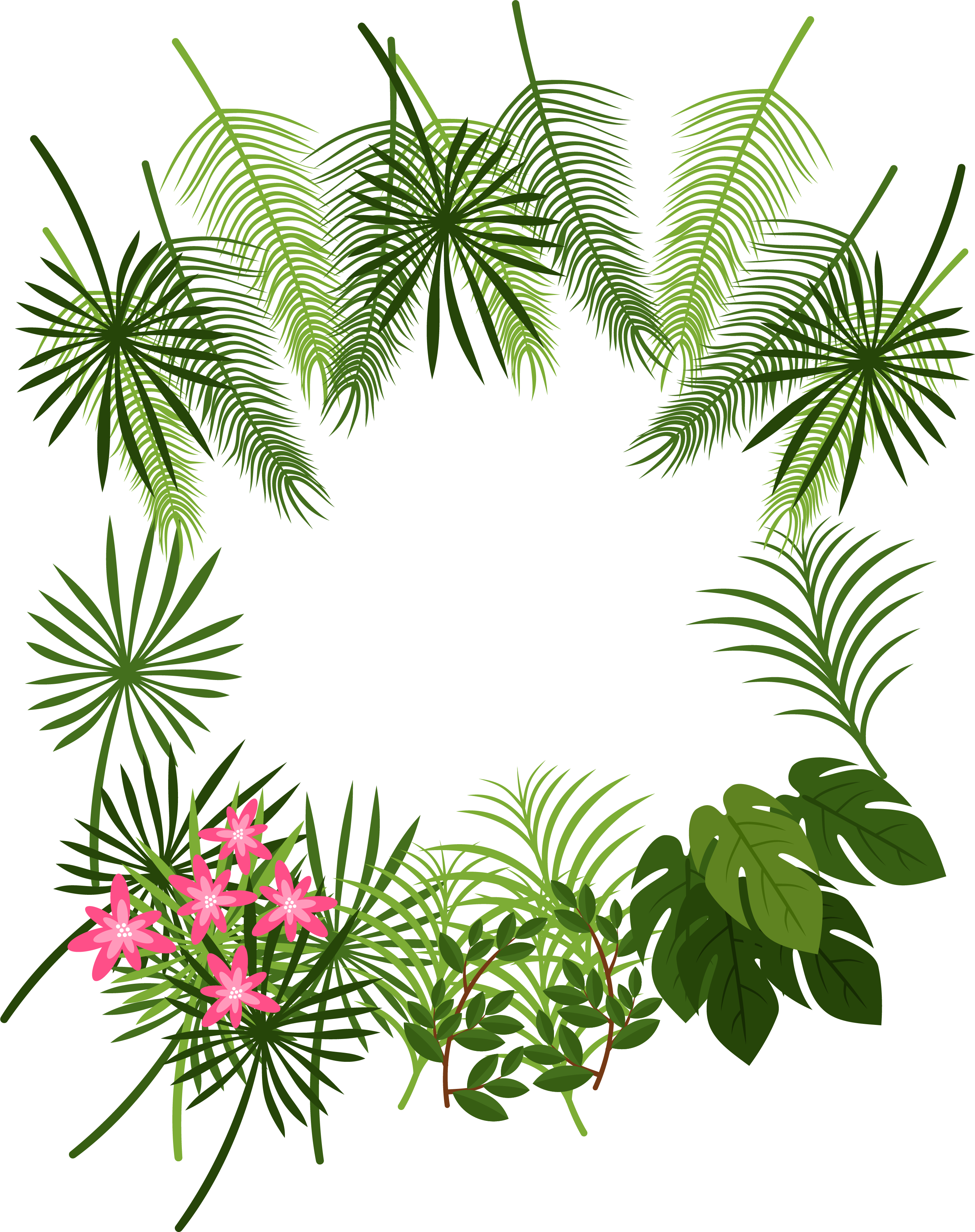 Arecaceae Leaf Tropics Plant Decoration Box Transprent Tropics