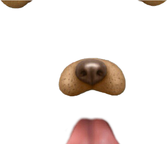 Snapchat Filters Clipart Blank Dog