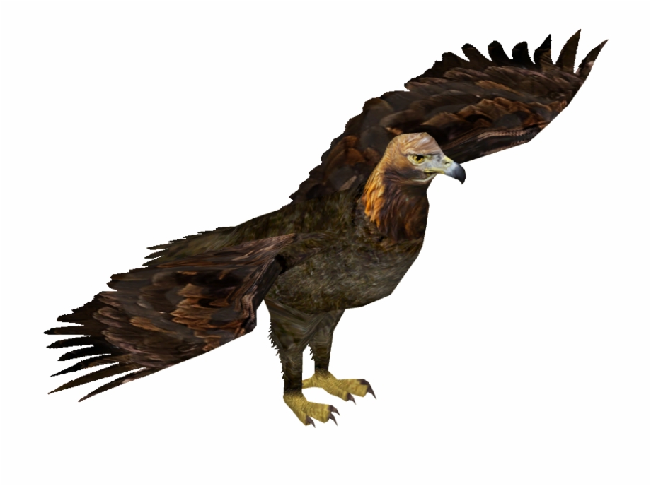Golden Eagle Eastern Imperial Eagle Png