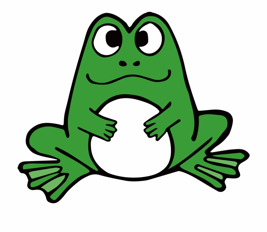Amphibian Cartoon Frogs 