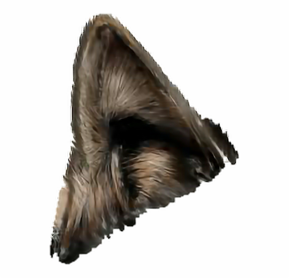 Wolf Ears Png Wolf Ears Transparent