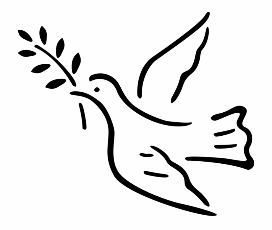 Vector Illustration Of Dove Bird With Olive Branch