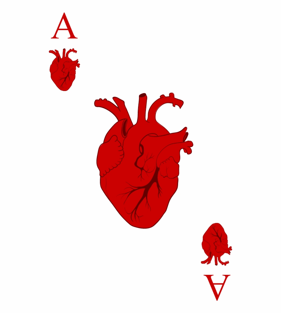 Ace Of Hearts Illustration