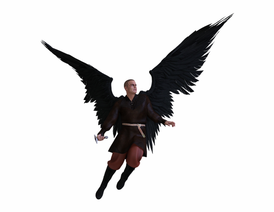 Man Wing Angel Fantasy Male Person Fighter Fantasia