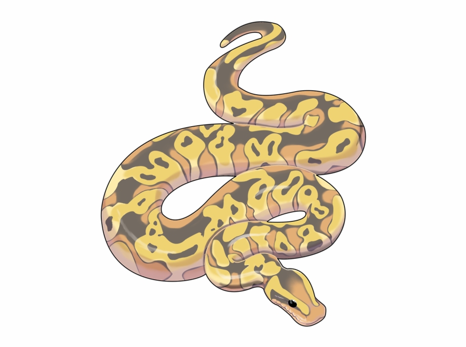 Python Snake Art
