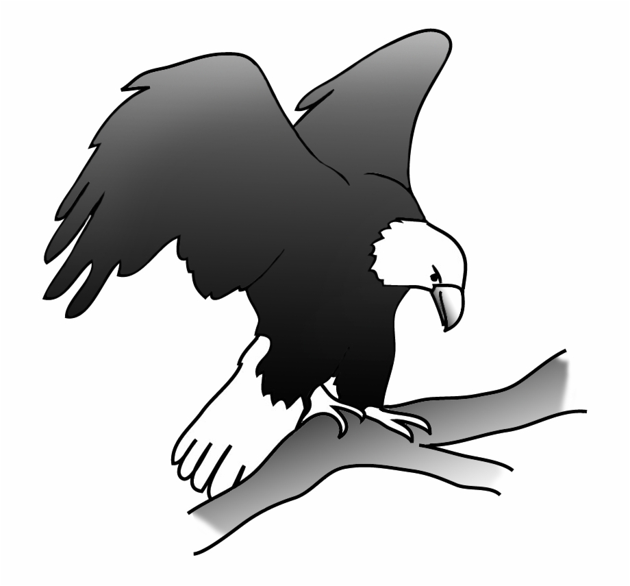 Small Eagles Drawings Black And White - Clip Art Library.