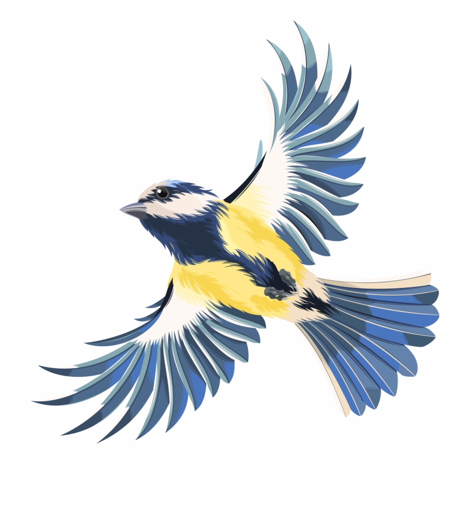 Flying Bird Transparent Png Clip Art Image Bird