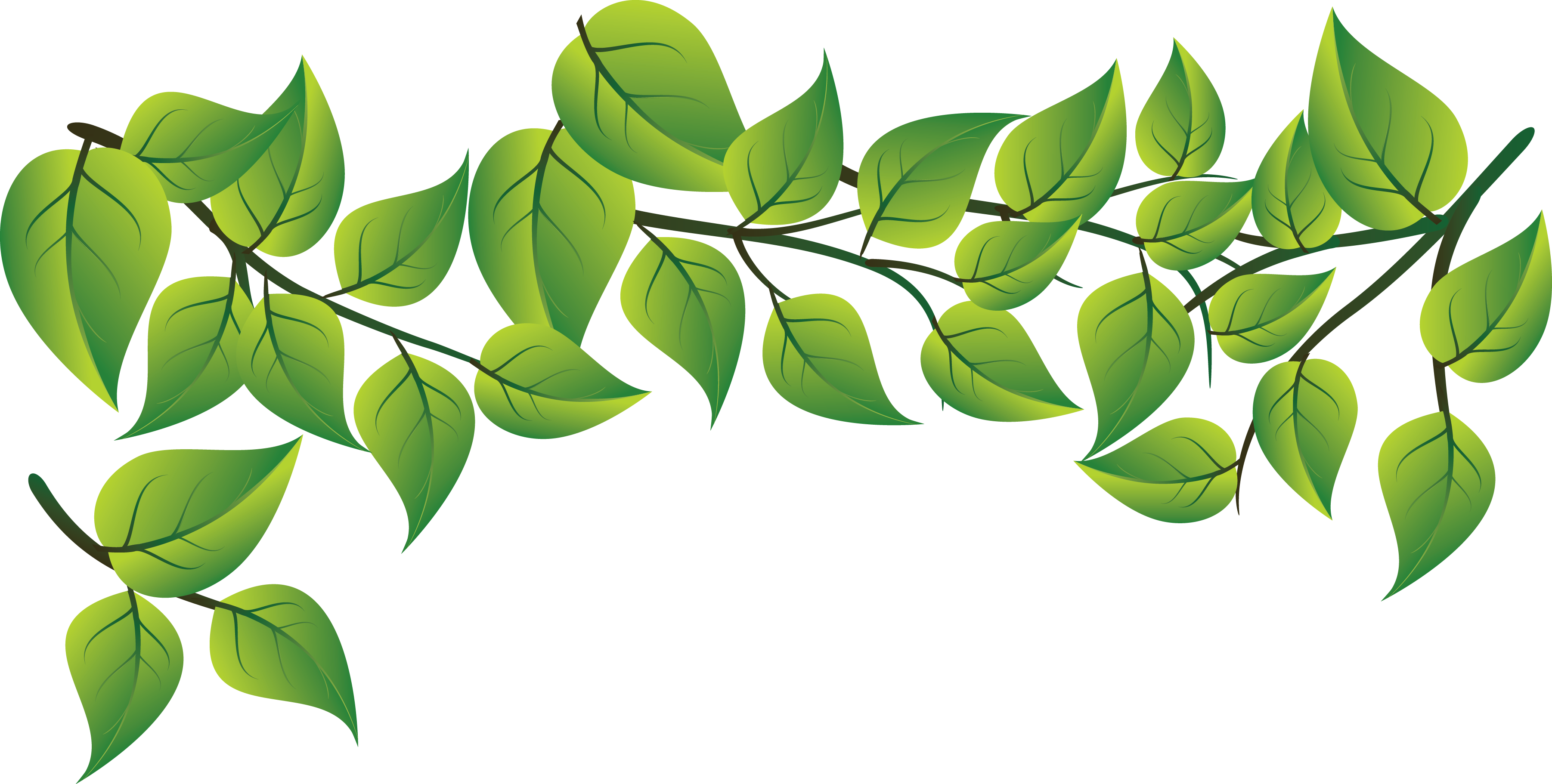 green leaves vector png
