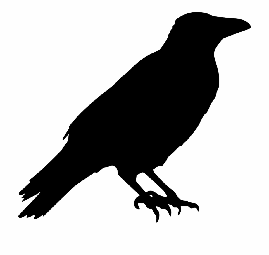 Crow Raven Animal Halloween Black Dark Bird Crow