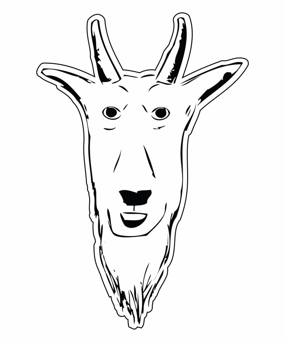 Goat Head Illustration