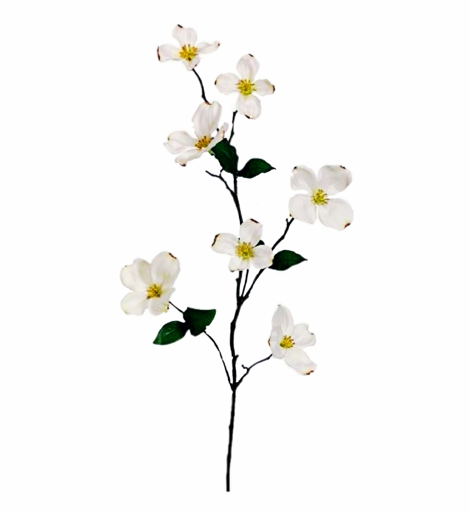 Free Flower Branch Png, Download Free Flower Branch Png png images