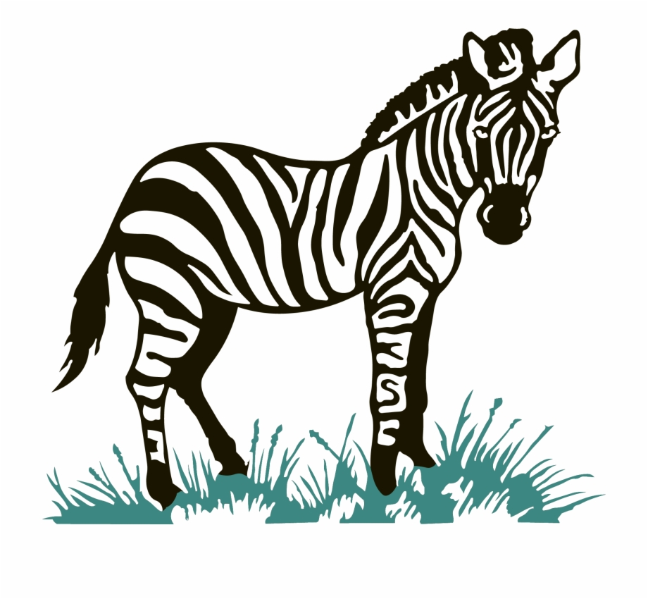 Gambar Zebra Kartun Lucu - Koleksi Sketsa Gambar Zebra Lucu