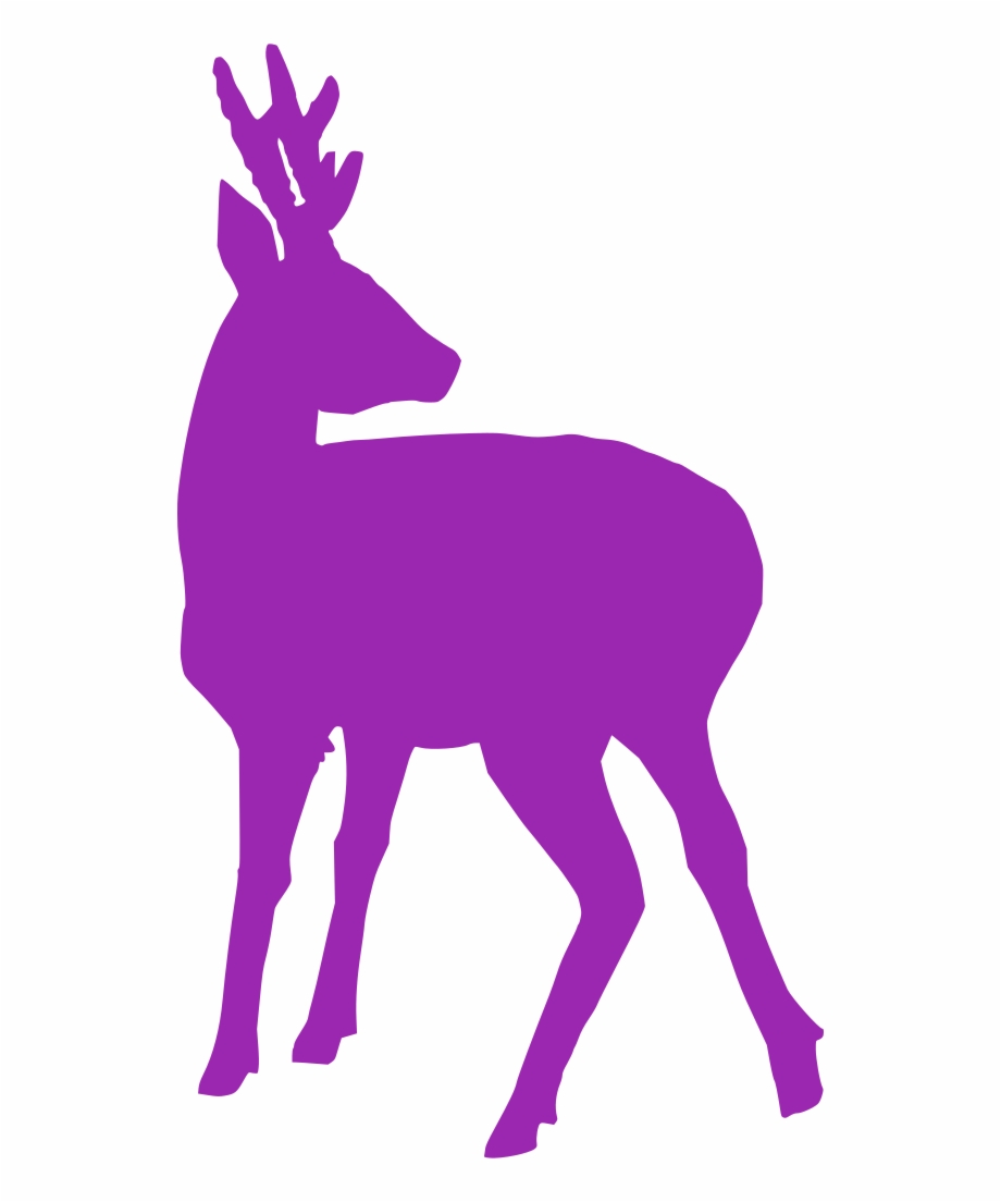 Clip Free Stock Deer Fawn Free Image Icon