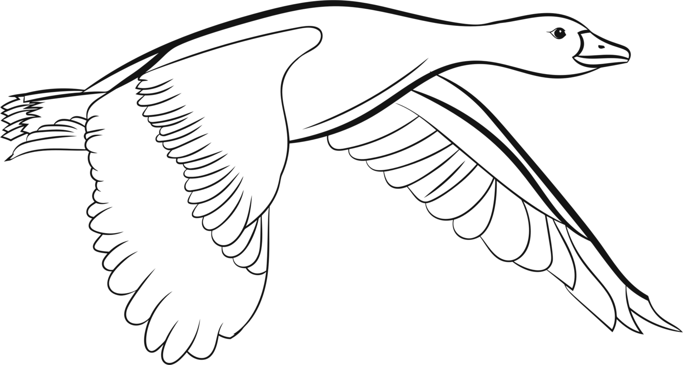 bird flying clipart black and white
