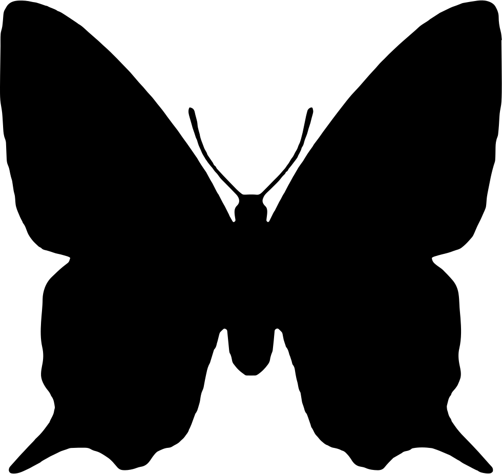 Insect Animal Shape Butterfly Silhouette