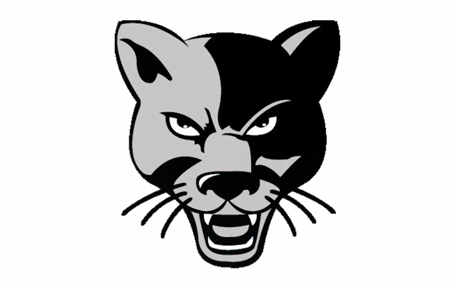 Cartoon Panther Head Transparent