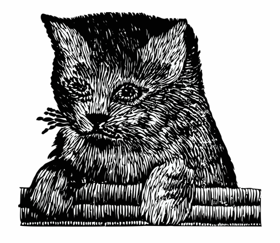 Kitten Cat Pet Cute Embroidery Feline Illustration