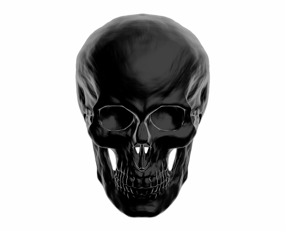 Skull Anatomy Skull And Crossbones Human Head Dark