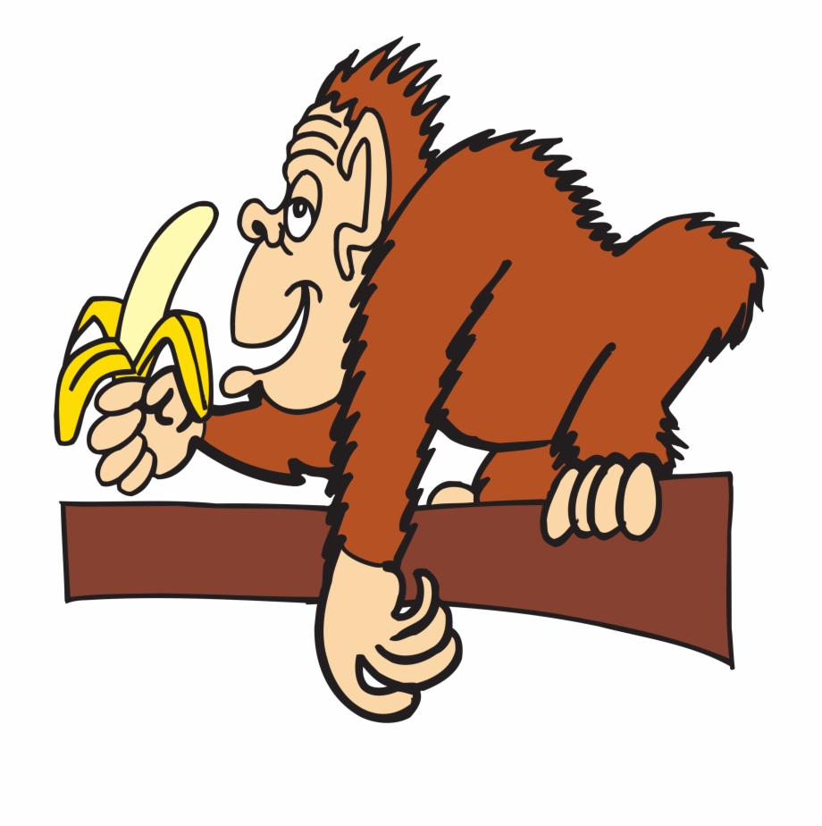 gambar monyet makan pisang png
